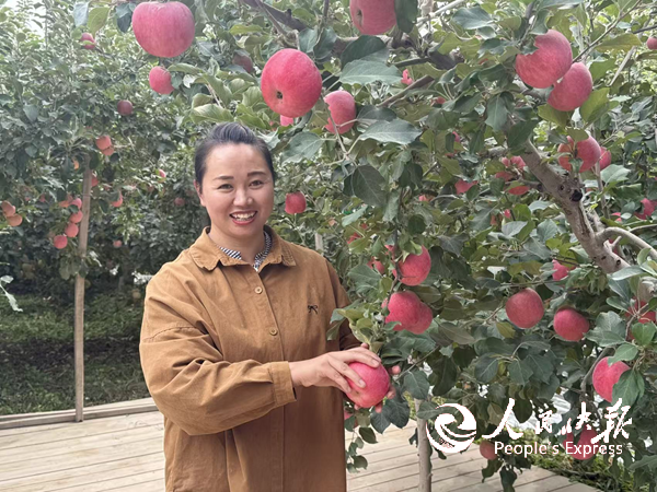 王云芝向记者介绍阿克苏苹果。人民网 刘橦洁摄